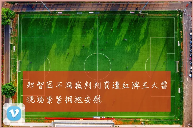 郑智因不满裁判判罚遭红牌王大雷现场紧紧拥抱安慰