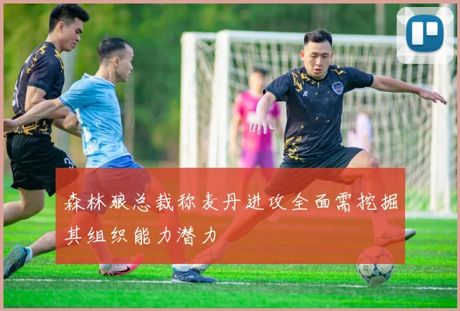 森林狼总裁称麦丹进攻全面需挖掘其组织能力潜力